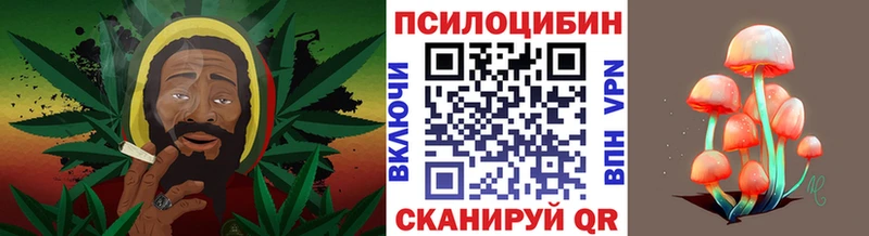 KRAKEN ссылка  Октябрьский  Галлюциногенные грибы ЛСД  наркошоп 